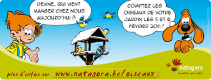 recensement-oiseaux